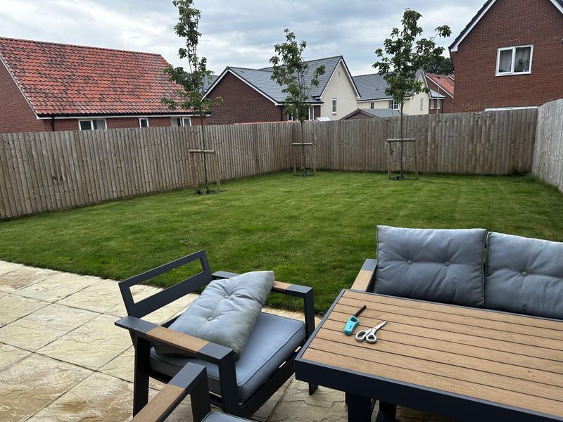 Remove Toys and Furniture From Grass