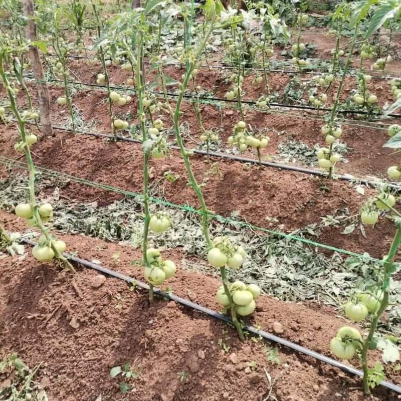 Ensure Proper Air Circulation