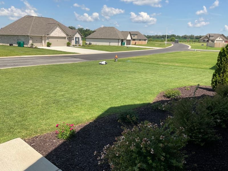 Excessive Lawn Maintenance