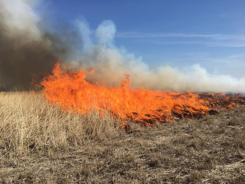 Insurance Companies Are Raising Rates For Risky Properties