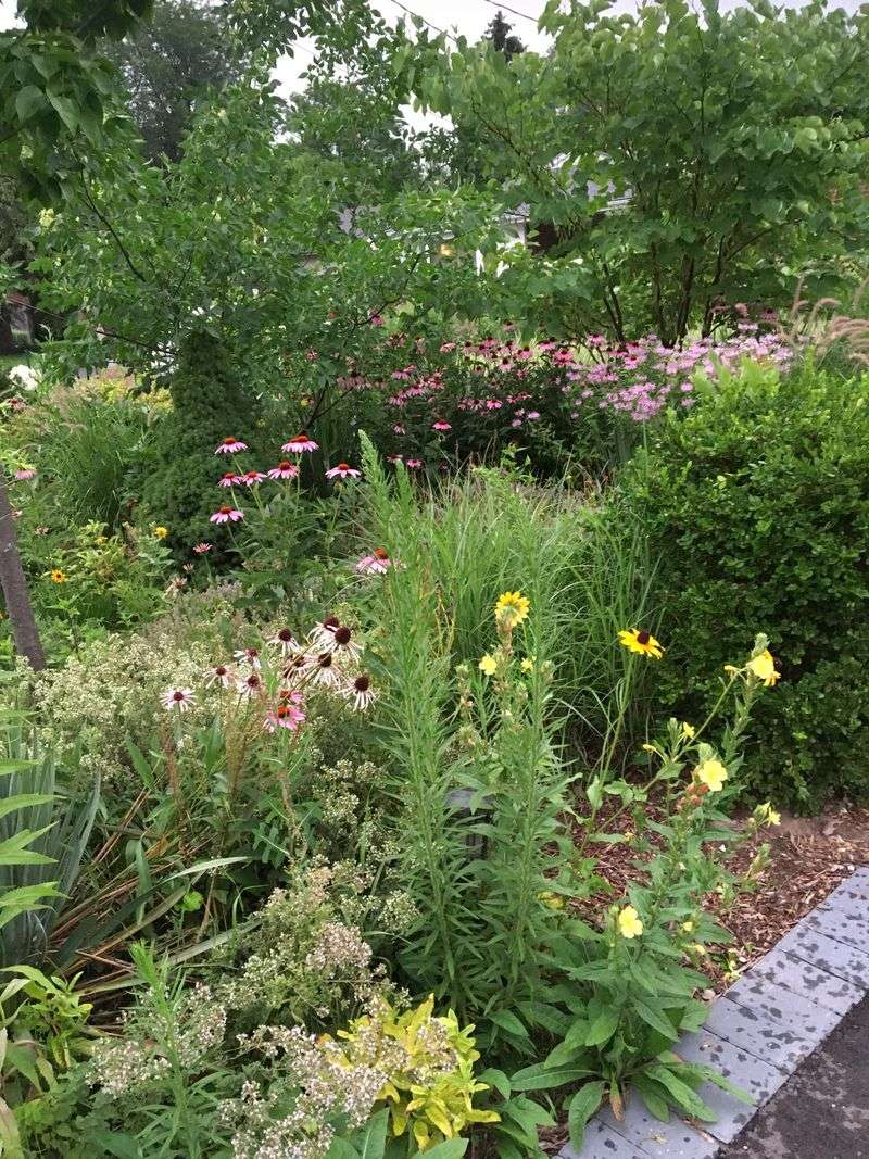 Skip the Pesticides and Chemicals