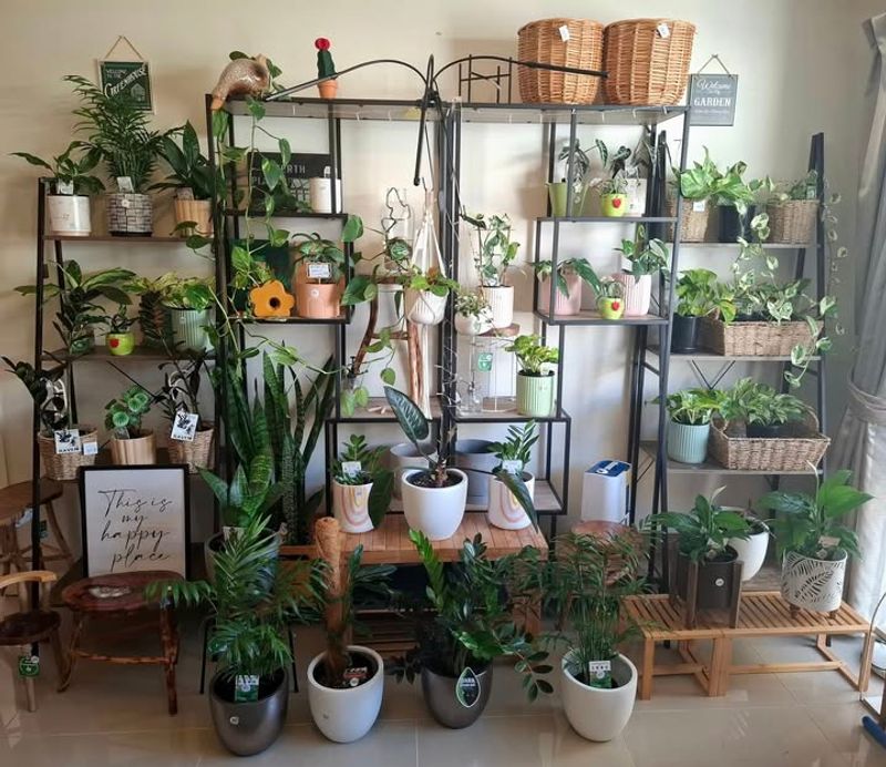 Bring Potted Plants And Containers Indoors
