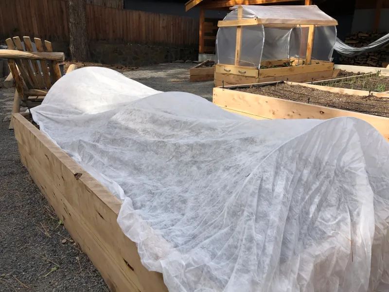 Cover Tender Plants With Frost Blankets