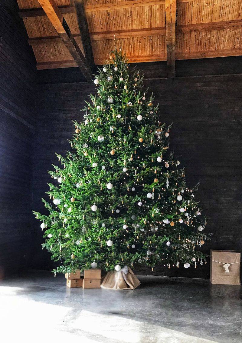 Position Your Tree Away From Heat Sources