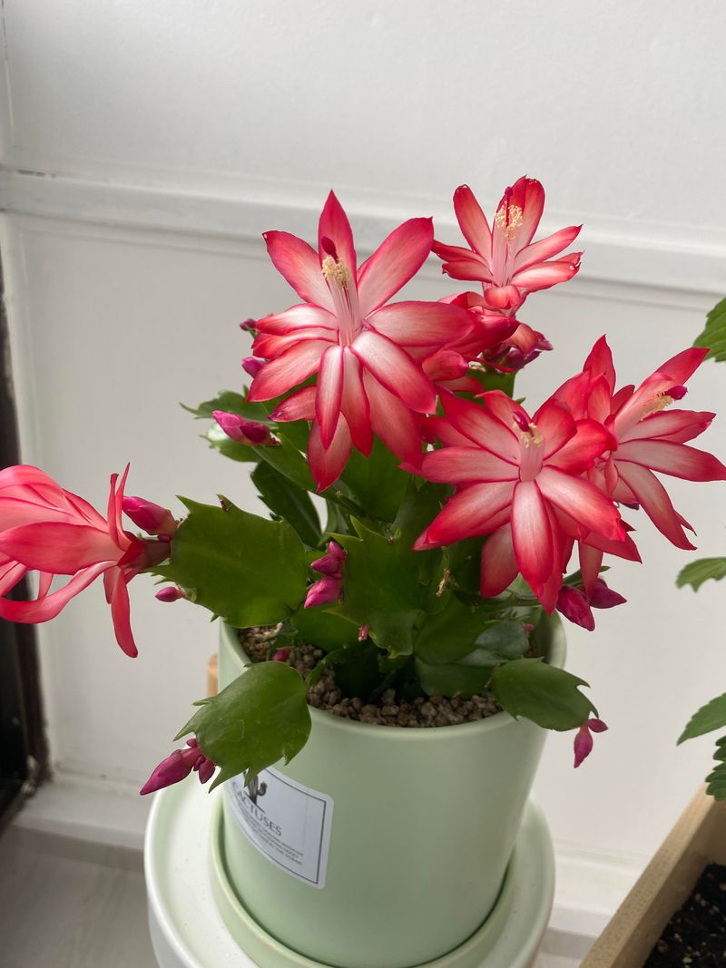 Maintain Ideal Temperature Ranges