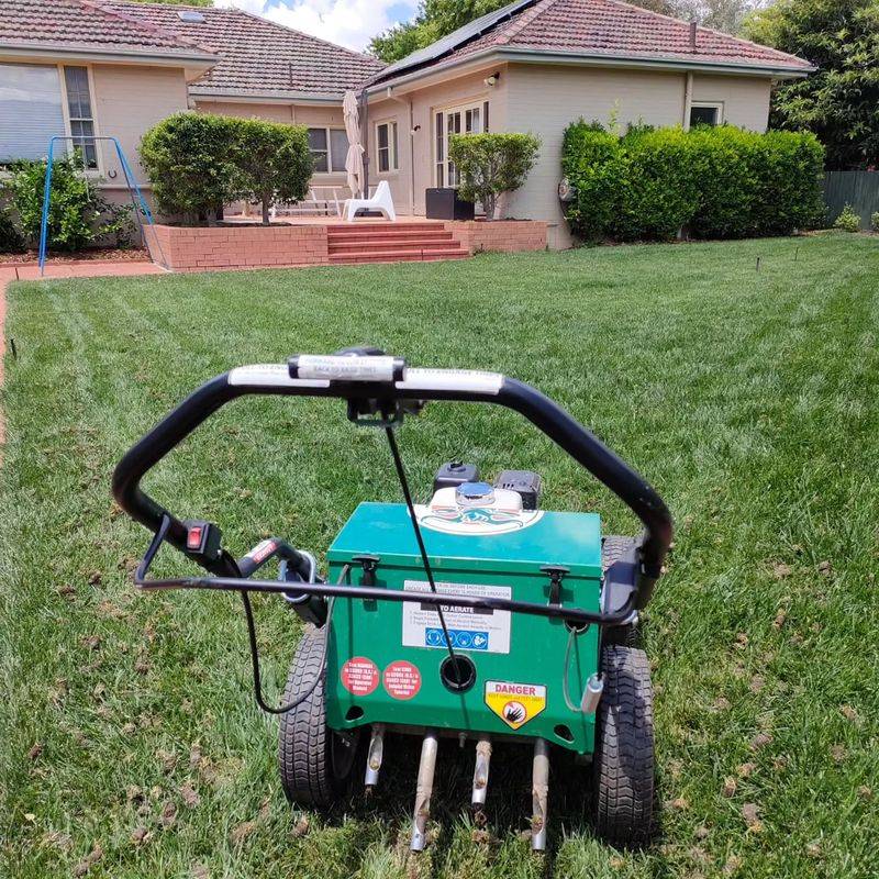 Neglecting Aeration Before Winter