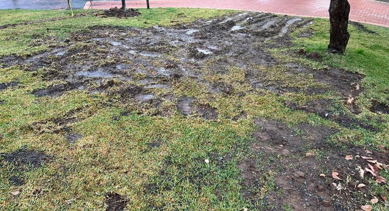 Recovery Takes Multiple Growing Seasons