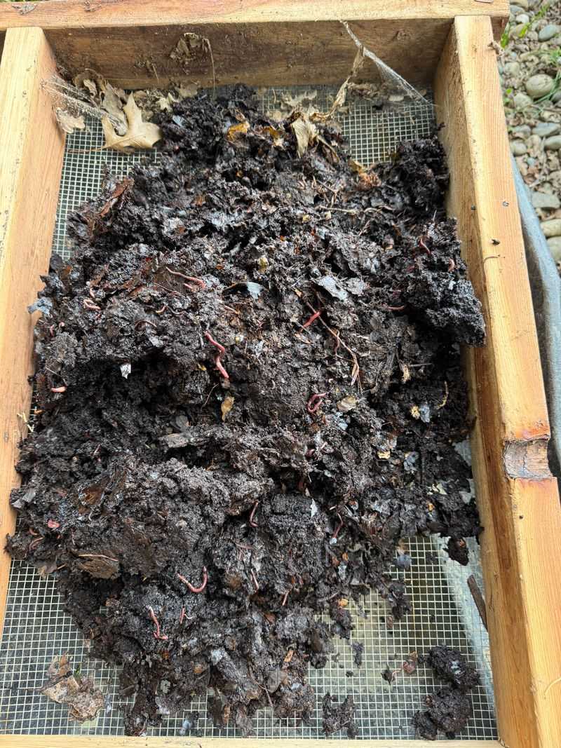 Moisture Retention Prevents Soil Drying