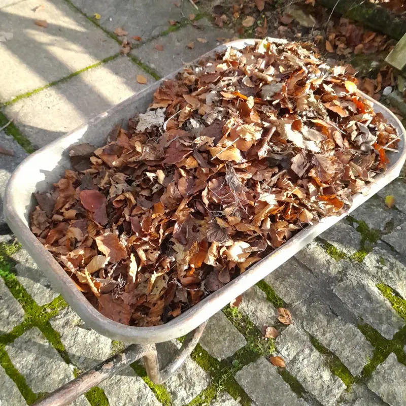 Eco-Friendly Solution Reduces Yard Waste