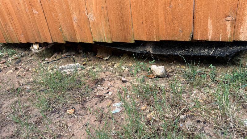 Soil Erosion Washing Away Your Garden