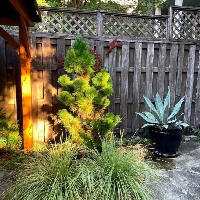 Property Line Rights Give You Control