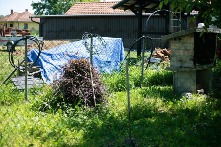 lawn (featured image)