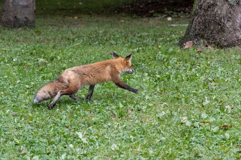 Stay Calm And Keep Your Distance