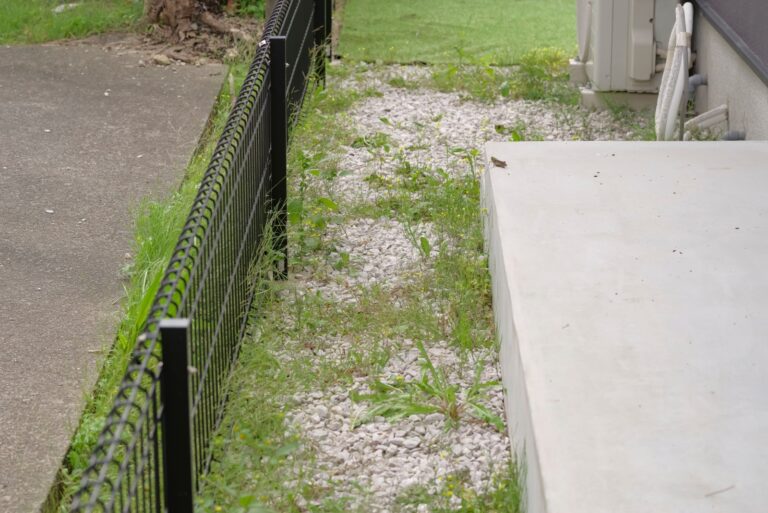 Weeds growing along the fence of the house