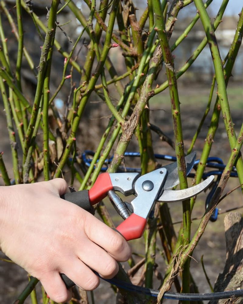 Timing Matters More Than You Think