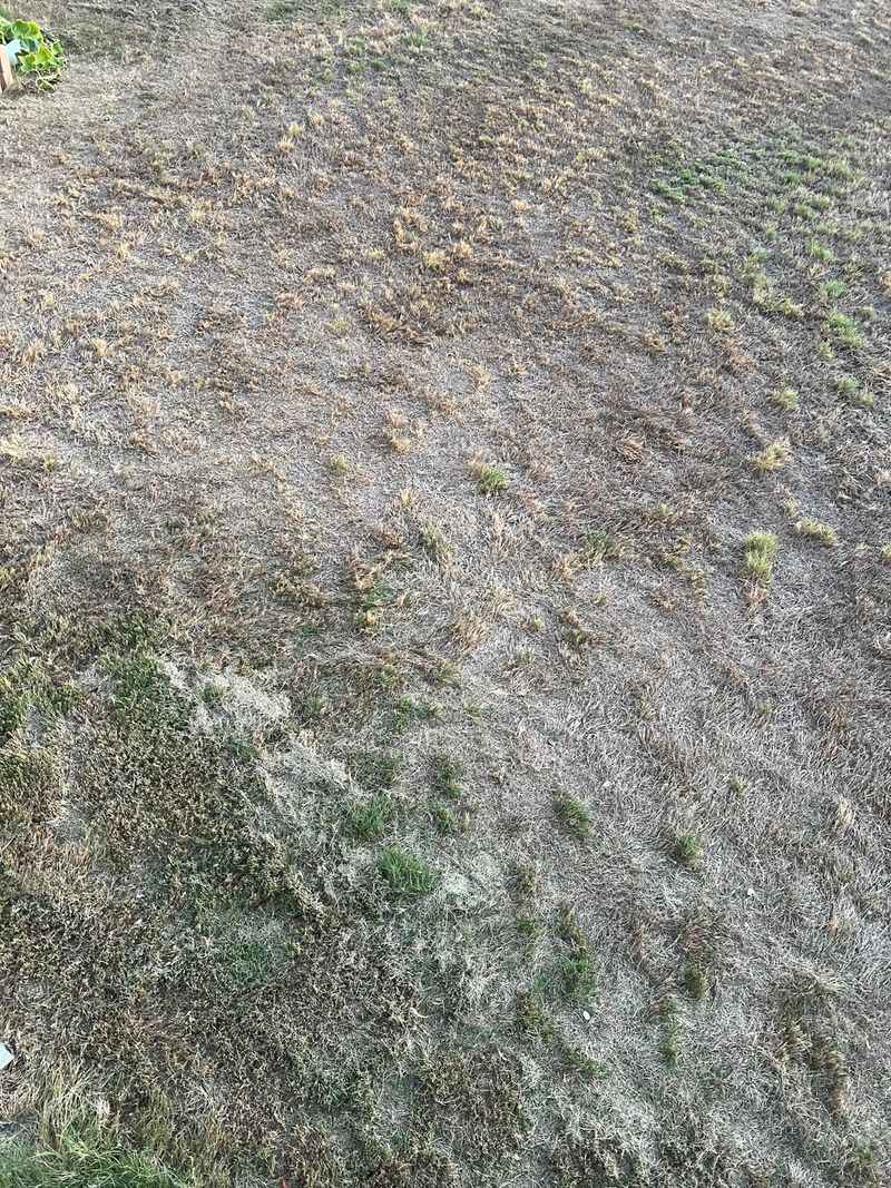 Document the Damage with Photos and Notes