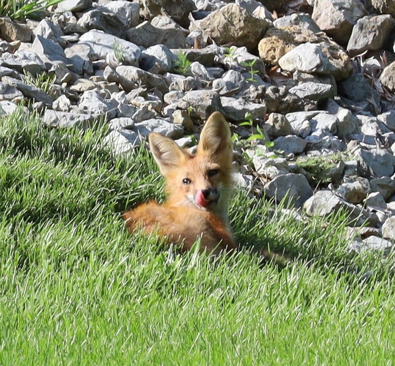 Early Morning Hours Before Sunrise