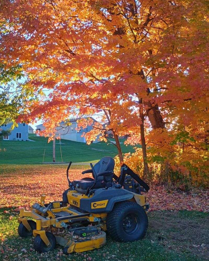 The Best Time To Put Away Your Mower