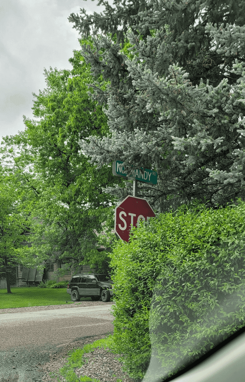 When Your Tree Blocks Traffic Visibility