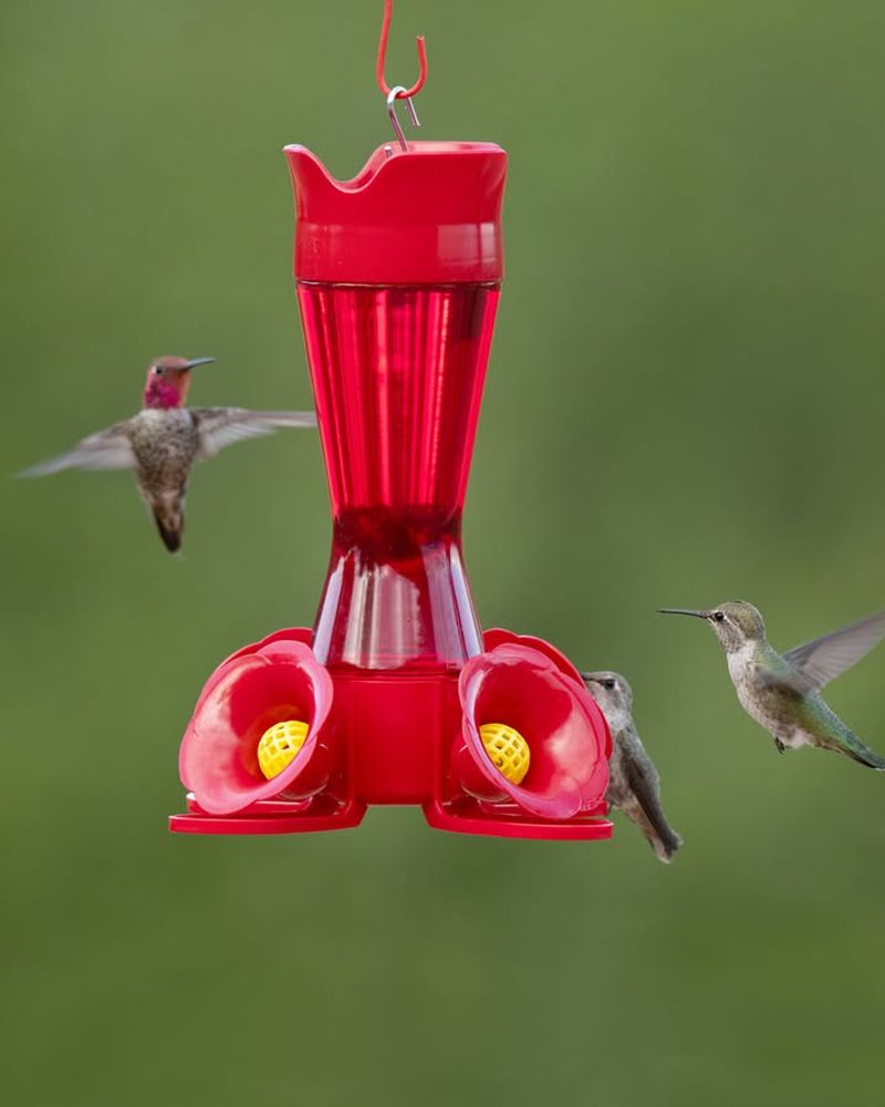 Mid-October Is Ideal For Safe Removal