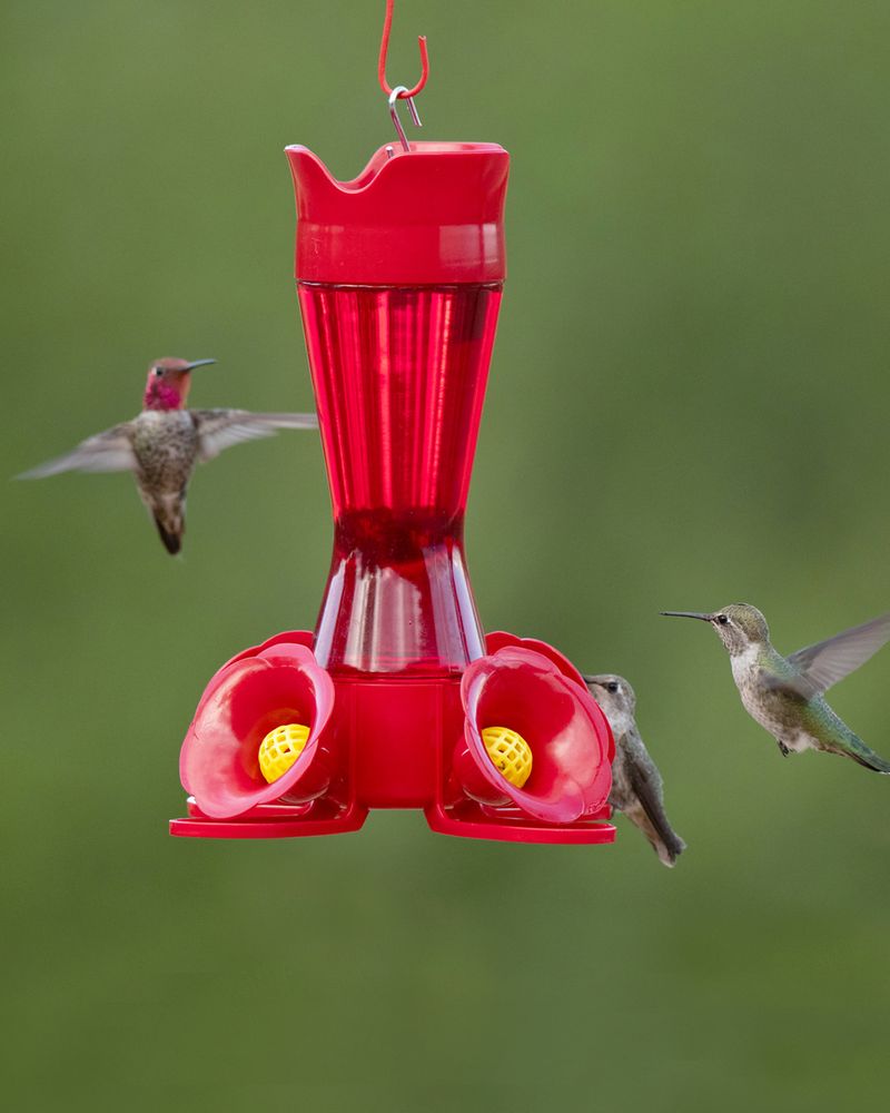 Wait Until Late October