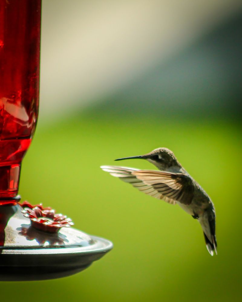 Late October To Early November Is The Sweet Spot