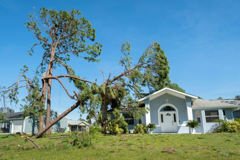Fallen down big tree on a house roof