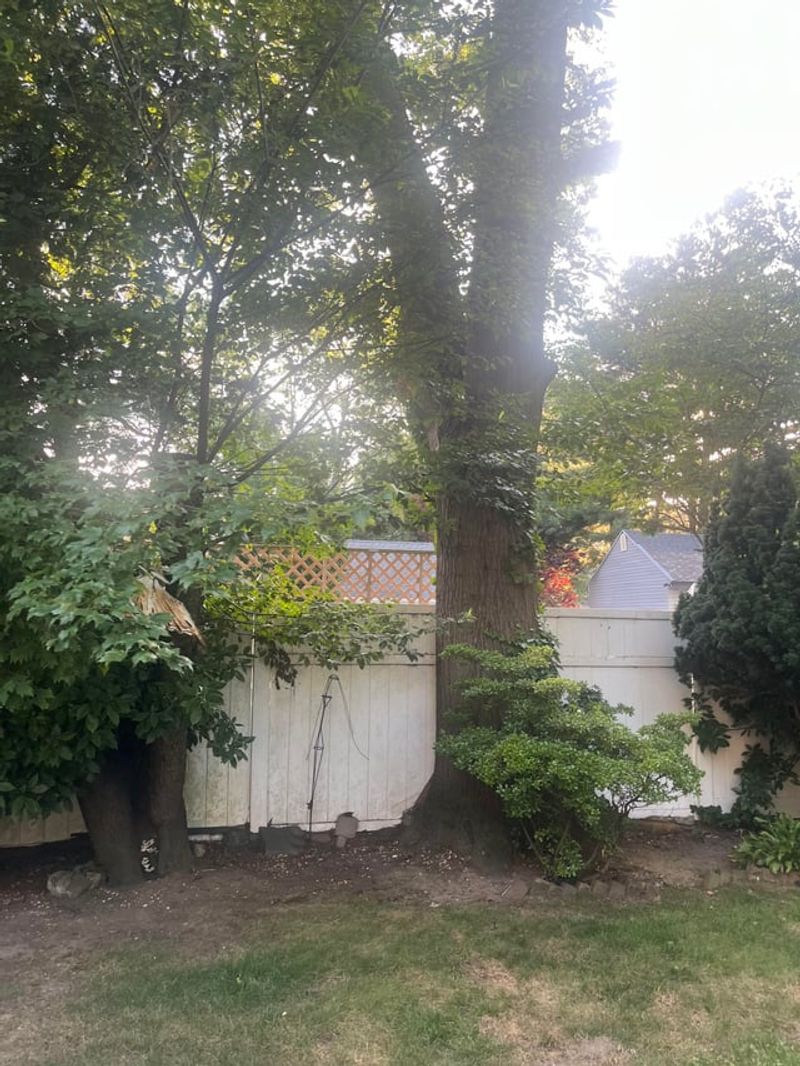 Illinois Law Generally Favors Property Owners