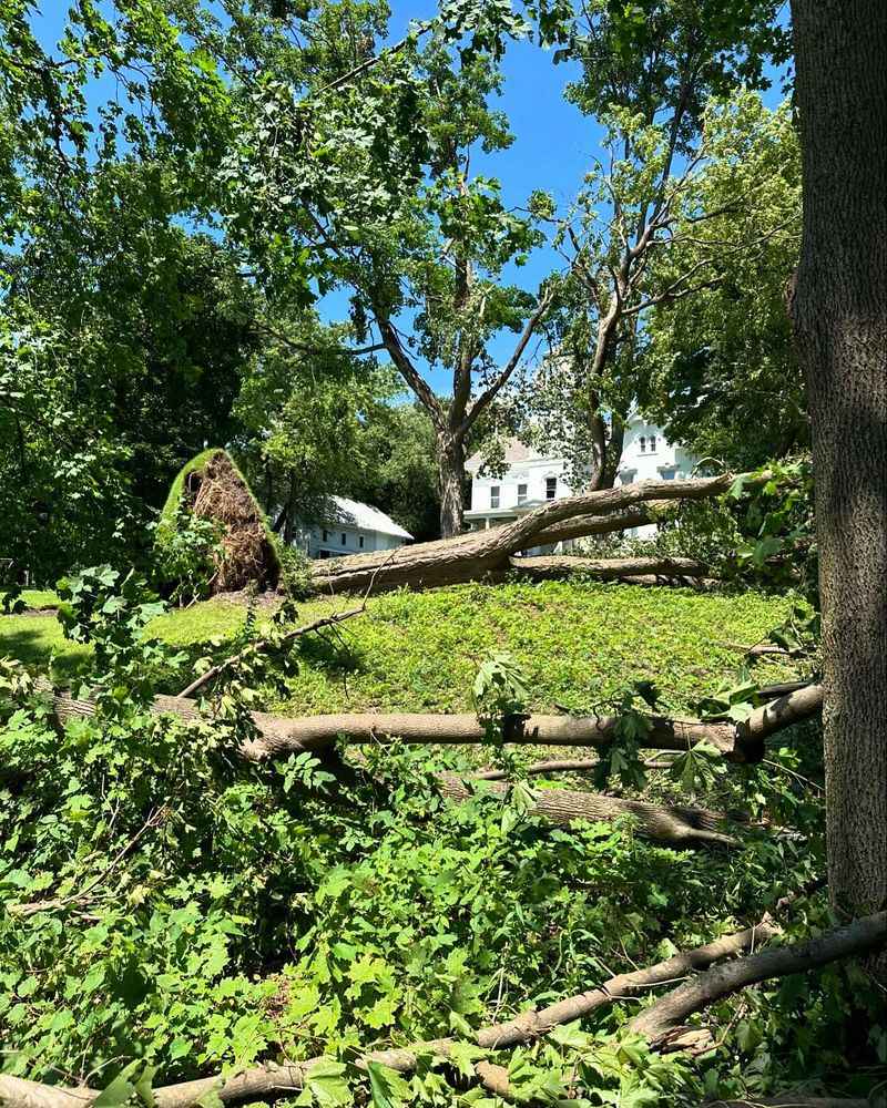 Florida Follows The Act Of God Rule