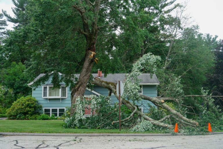 tree fallen onto neighbors house