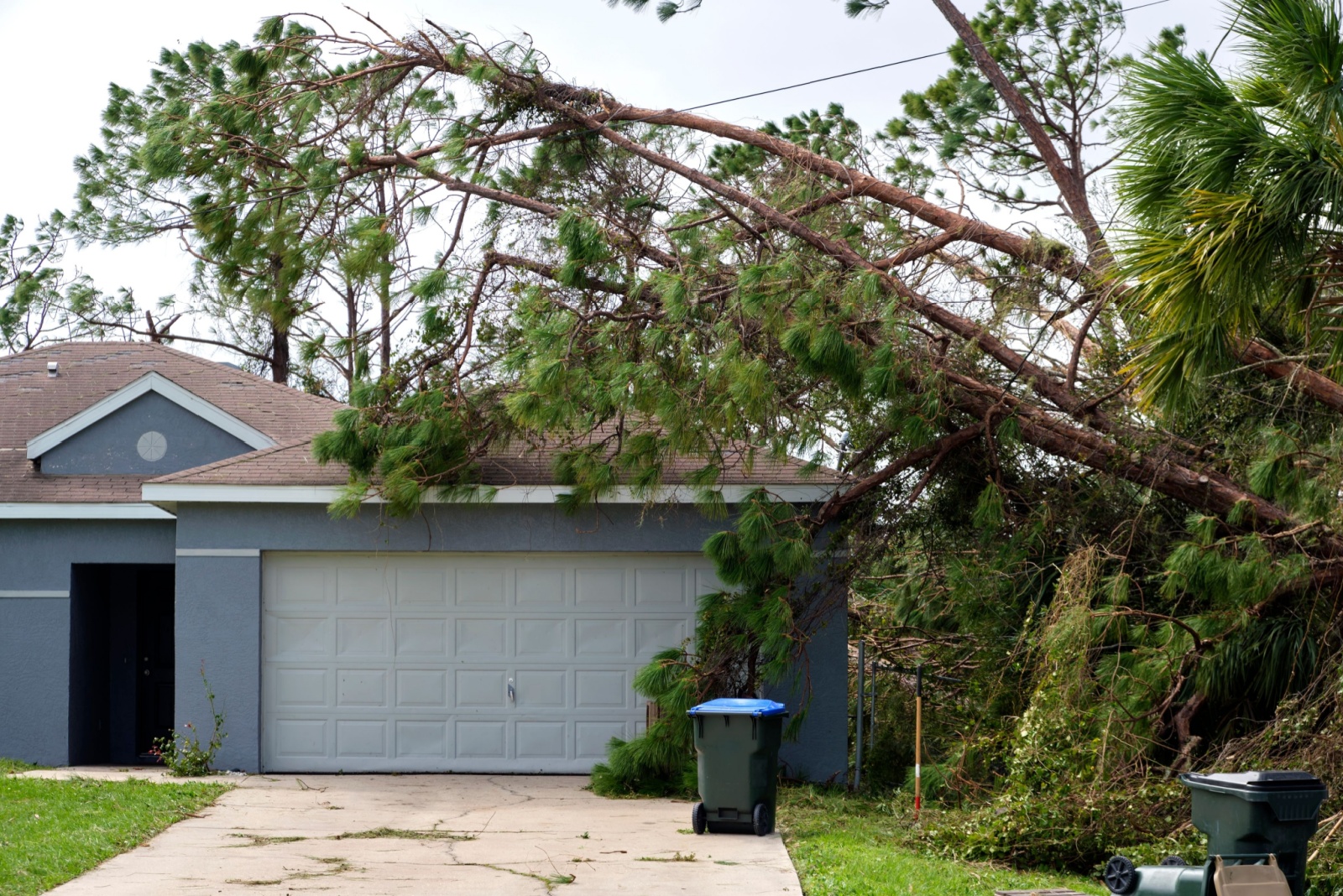 Who’s Responsible If A Neighbor’s Tree Crashes Into Your Maryland Yard
