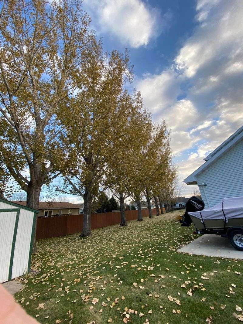 Property Owners Handle Their Own Leaves