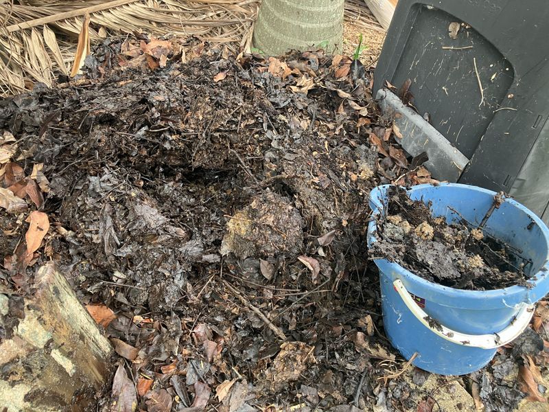 Microbial Activity Continues Through Mild Winters