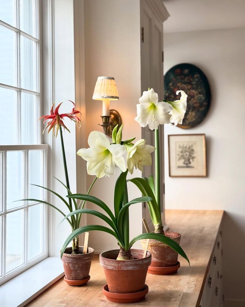 Perfect Indoor Temperature Balance