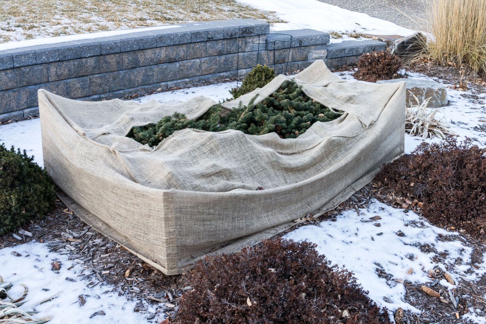 Why Colorado Gardeners Cover Their Flower Beds With This Unusual Material