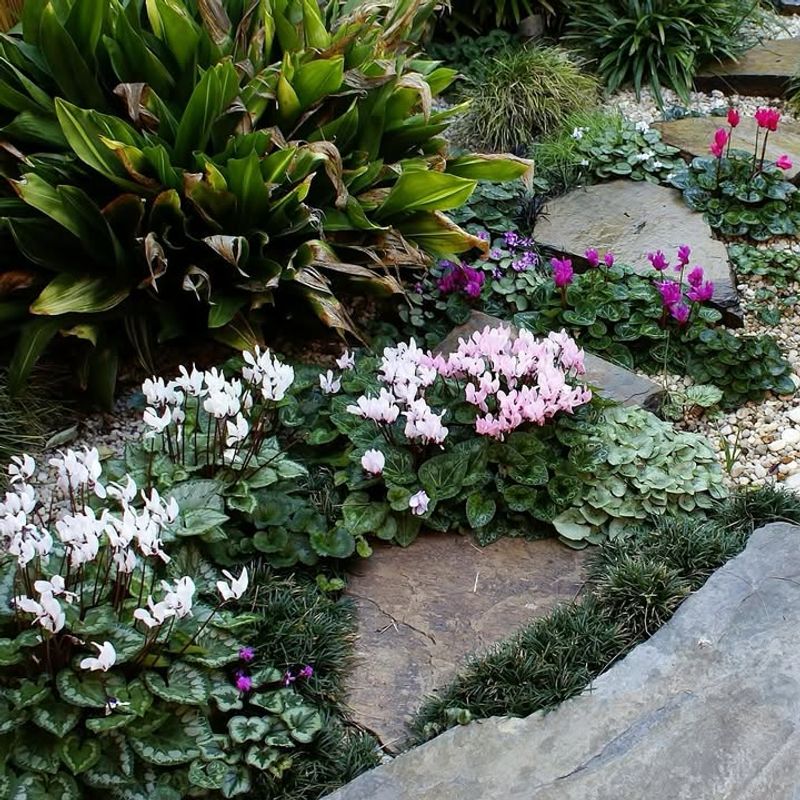 Microclimate Magic In Your Yard