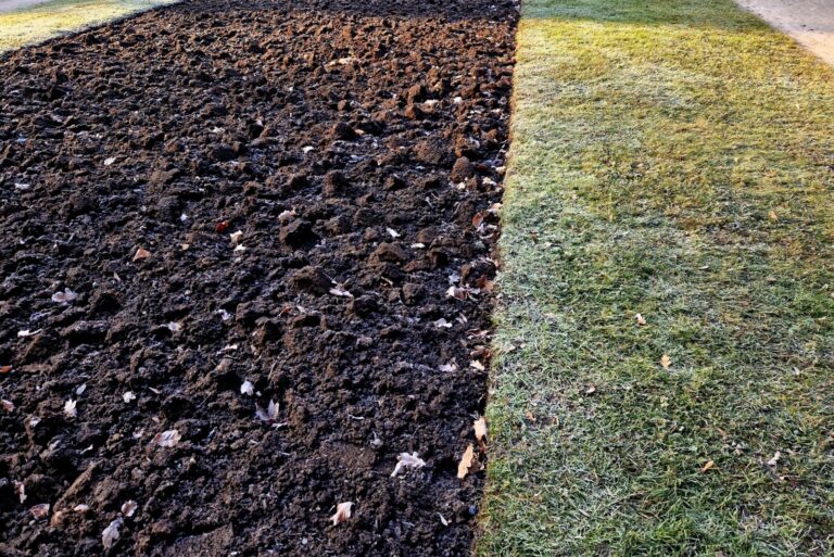 prepared flower beds for spring