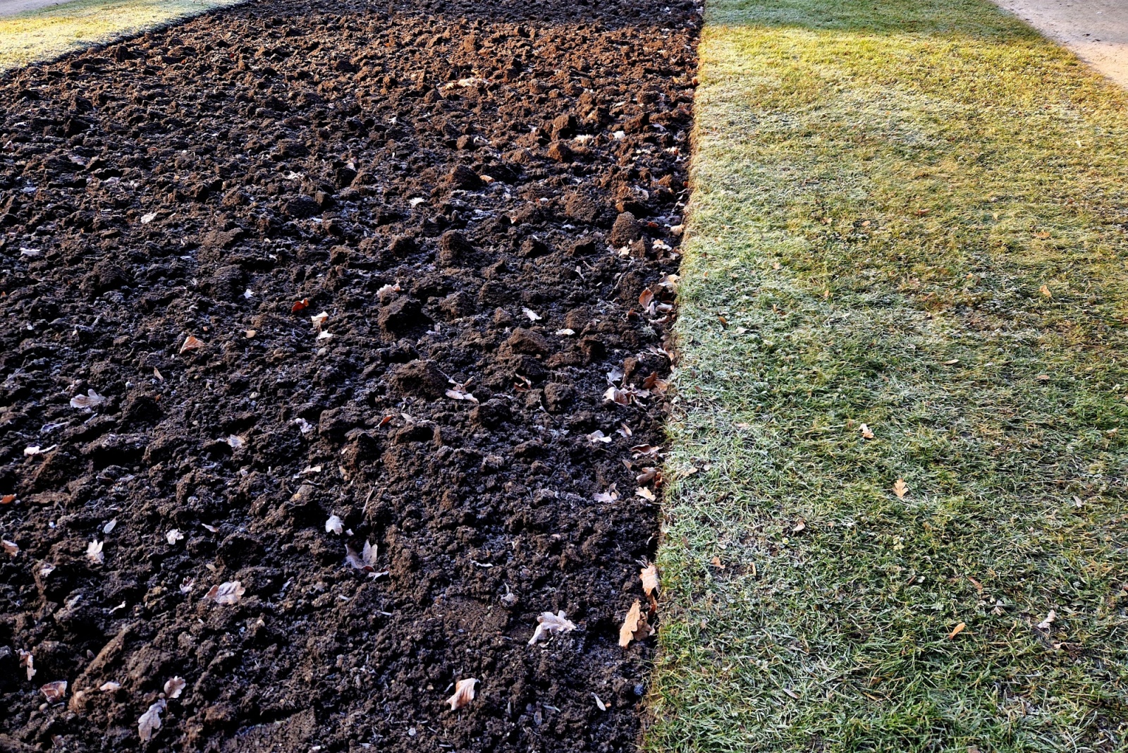 Why December Is The Ideal Time To Prepare Flower Beds In Maryland