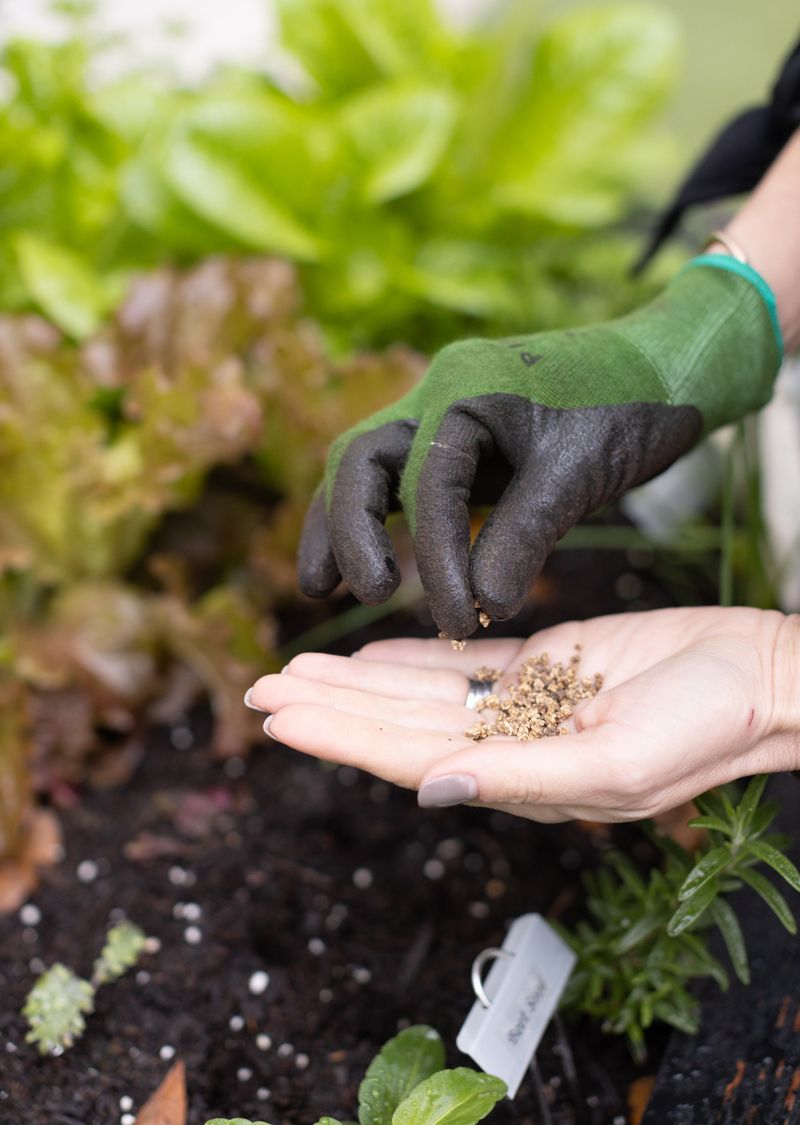 Soil Stays Workable In Maryland's Mild Winters