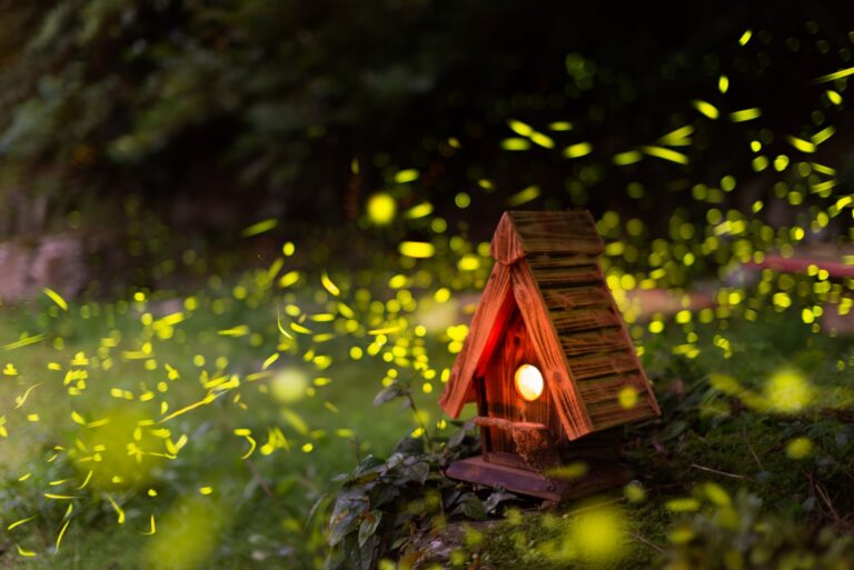 fireflies flit around a wooden bird's nest