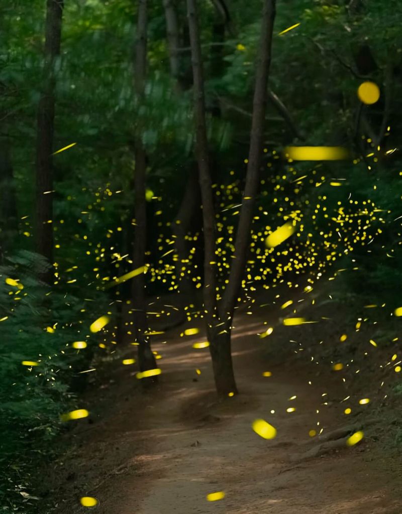 Loss Of Natural Habitats