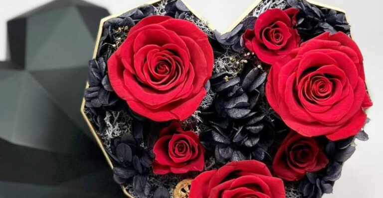 preserved roses in a box