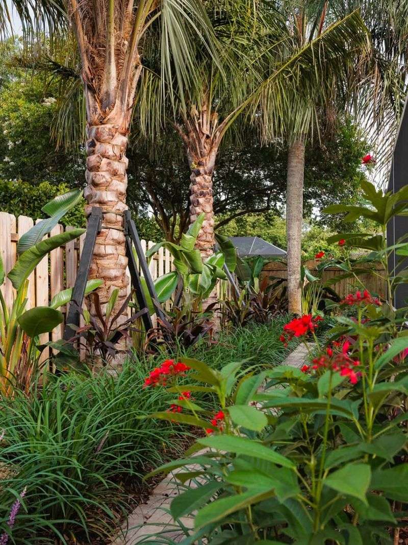 Unpredictable Cold Fronts Strike Without Warning