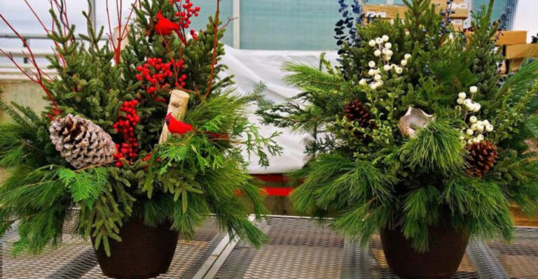 evergreen container decor