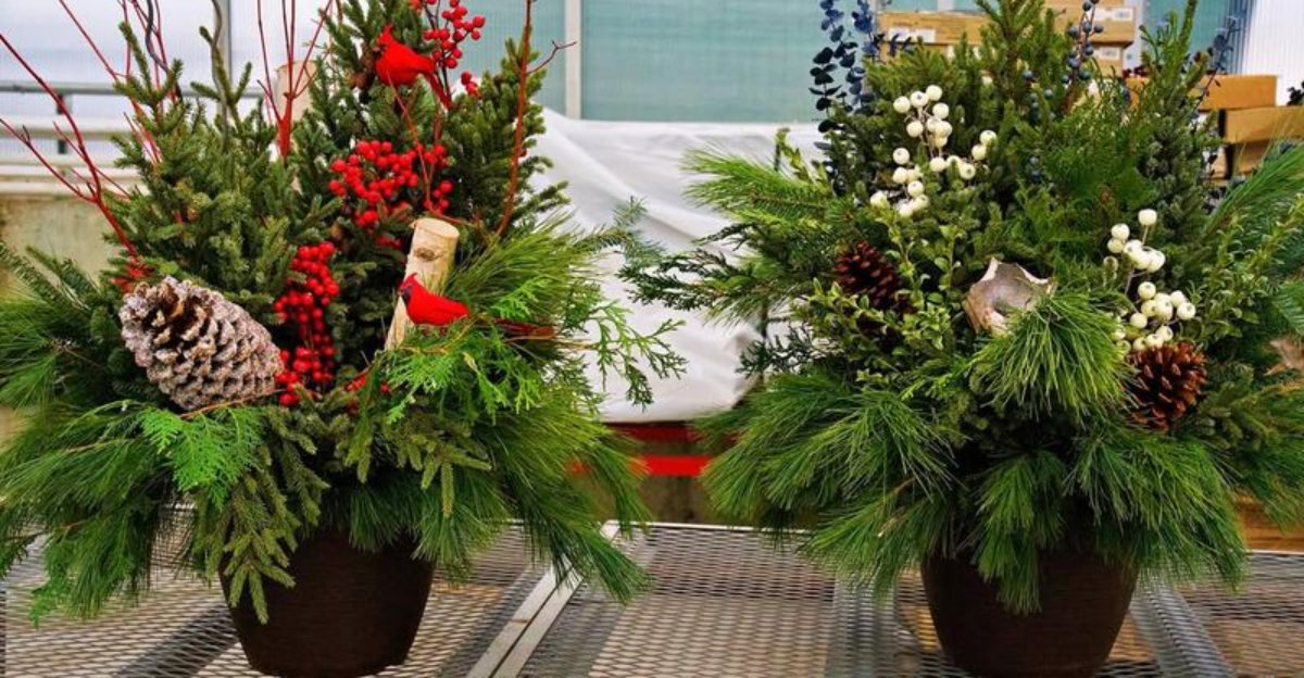 evergreen container decor