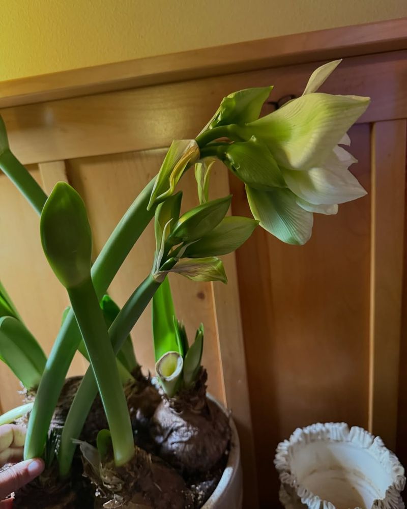 Watching Growth Happen In Real Time