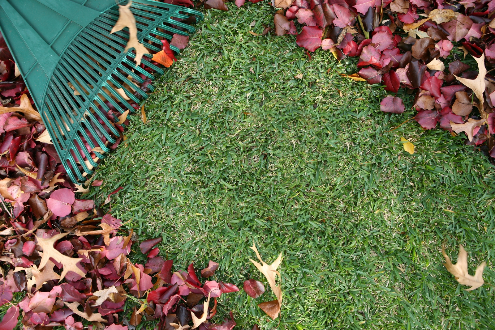 Why Illinois Homeowners Do This Last Lawn Step Before December Ends