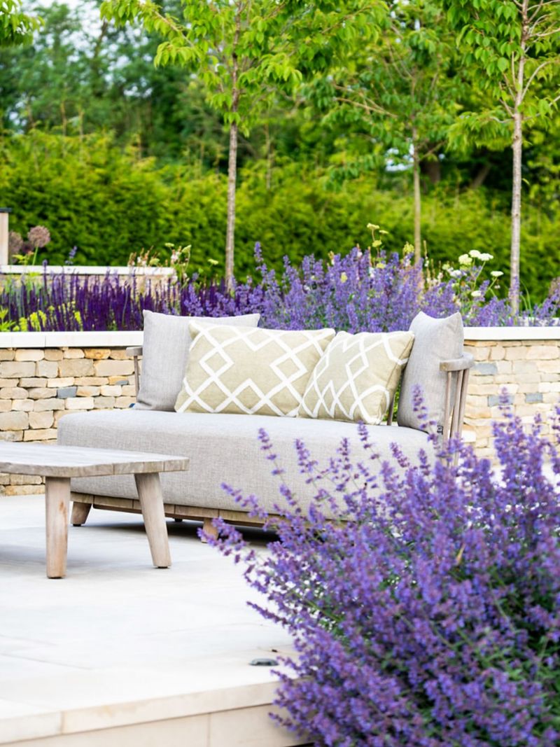 Thrives In Tennessee's Hot Summers