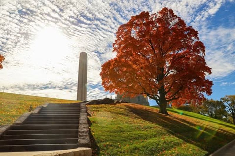 Warmer Fall Temperatures Confusing Tree Biology