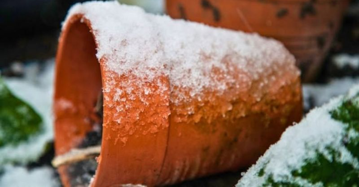 snow covered outdoor pot